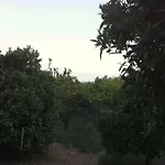 Vounaki Seaside Dreamland! Kyparissia