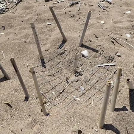 別荘 Vounaki Seaside Dreamland!