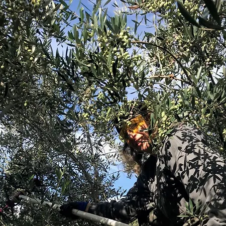 別荘 Vounaki Seaside Dreamland! *