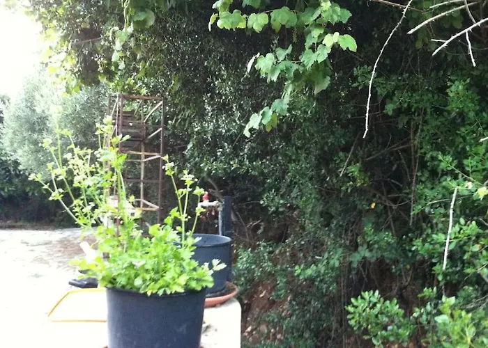 Vounaki Seaside Dreamland! キパリシア