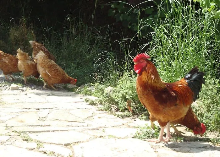 別荘 Vounaki Seaside Dreamland! *