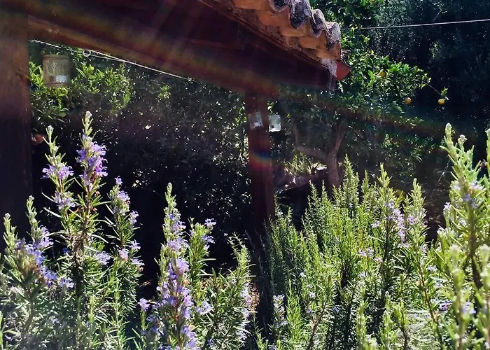 Casa vacanze Vounaki Seaside Dreamland!