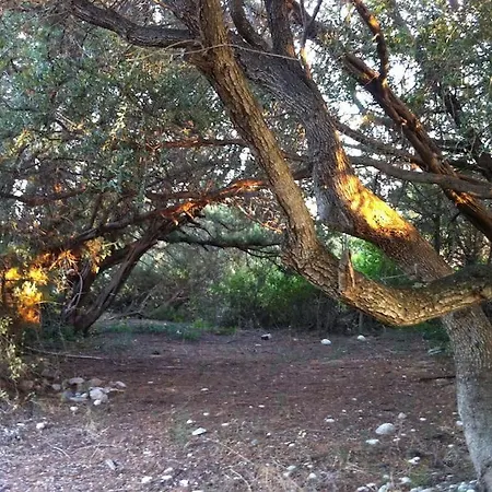 Vounaki Seaside Dreamland!