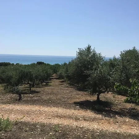 Prázdninový dům Vounaki Seaside Dreamland! Kyparissia