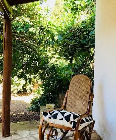 Vounaki Seaside Dreamland! بيت للعطل كيوبارِسِيا