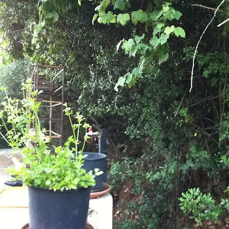 Vounaki Seaside Dreamland! كيوبارِسِيا