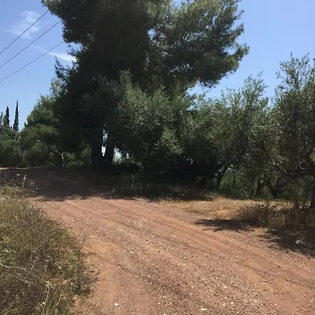 Vounaki Seaside Dreamland! * كيوبارِسِيا