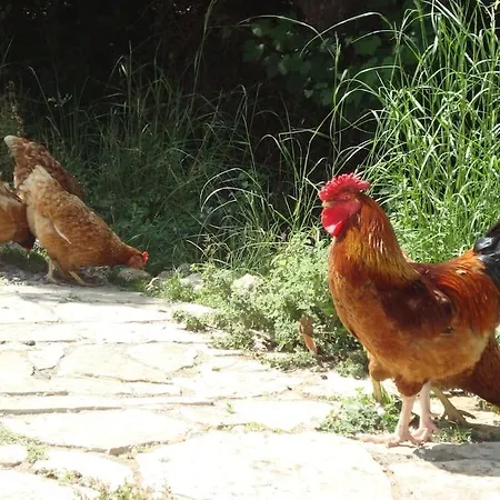 بيت للعطل Vounaki Seaside Dreamland! *