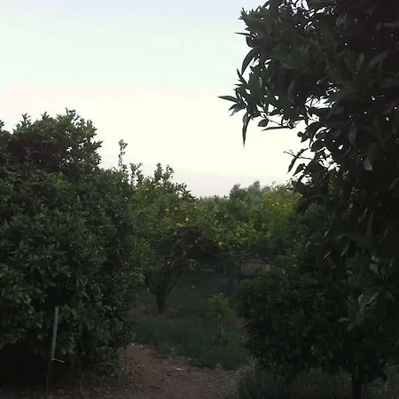 Vounaki Seaside Dreamland! كيوبارِسِيا