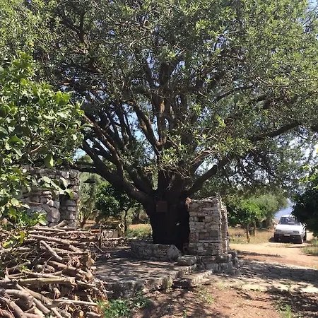 بيت للعطل Vounaki Seaside Dreamland!