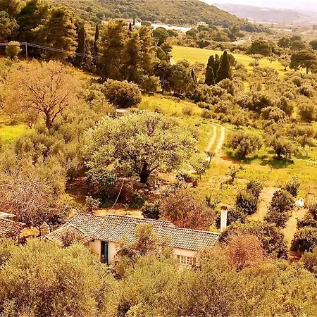 بيت للعطل Vounaki Seaside Dreamland! *