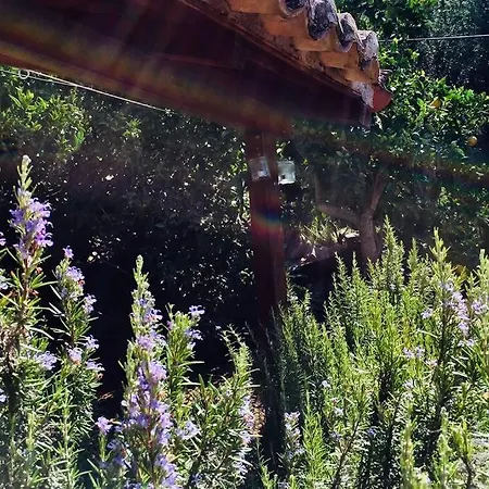 بيت للعطل Vounaki Seaside Dreamland!