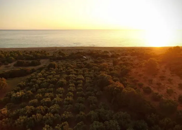 Vounaki Seaside Dreamland! Holiday home *