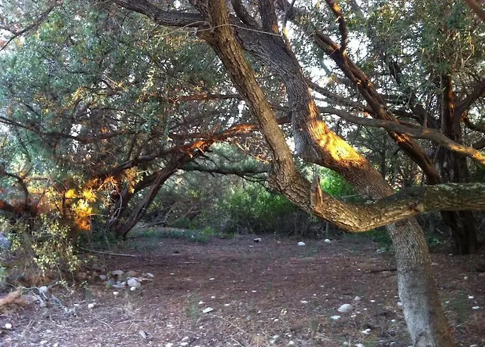 Vounaki Seaside Dreamland!