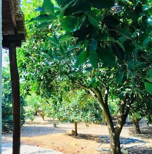 Vounaki Seaside Dreamland!