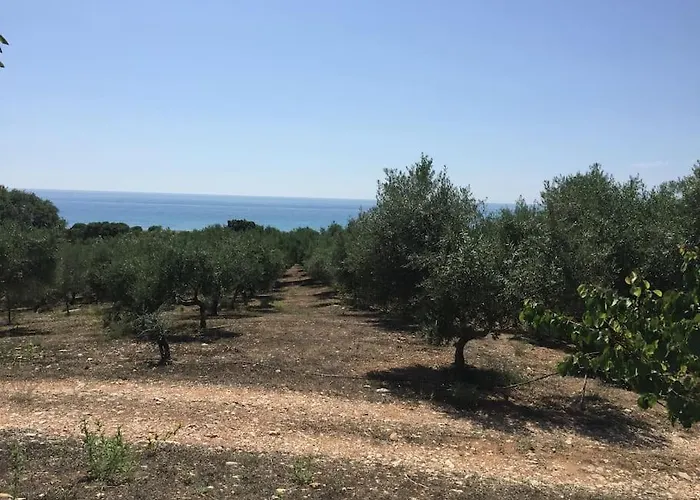 Holiday home Vounaki Seaside Dreamland! Kyparissia