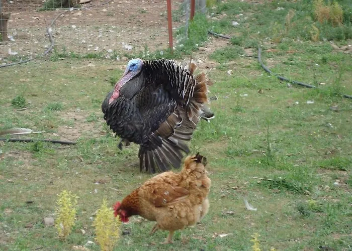 Vounaki Seaside Dreamland! Prázdninový dům *