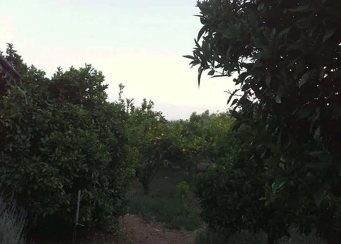 Vounaki Seaside Dreamland! Kyparissia