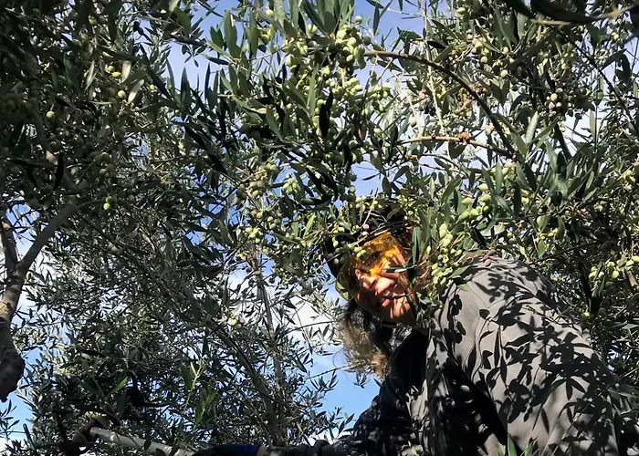 Holiday home Vounaki Seaside Dreamland! *